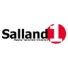 Salland